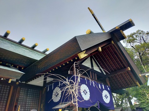 IMG20220326144945