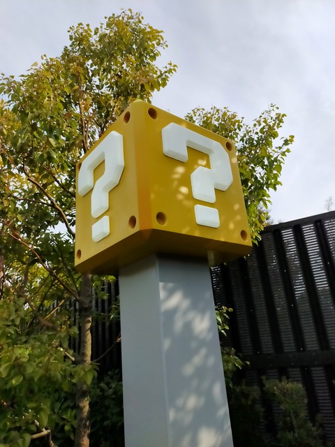 IMG20230305085907