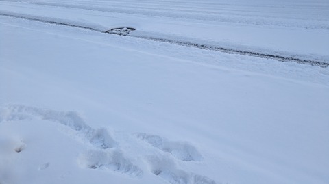 PXL_20251203_212506531