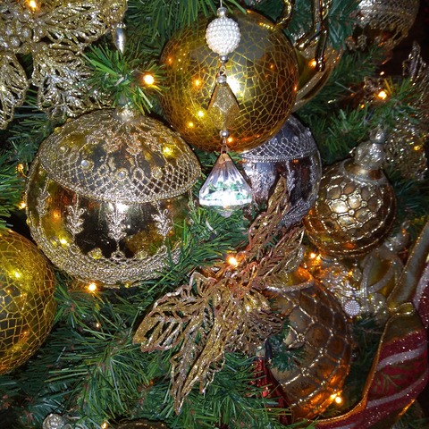 IMG_20201220_082534_259