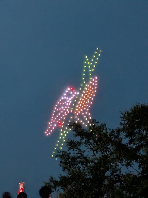 PXL_20250813_100234565