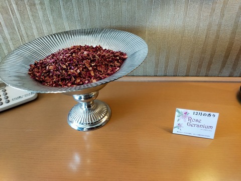 IMG20211231095929