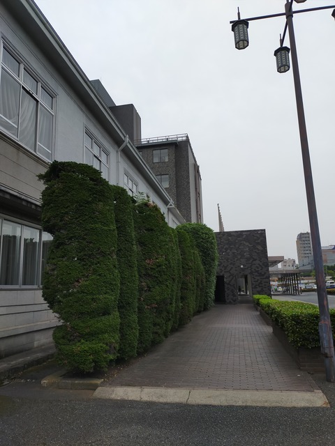 IMG20220618123323