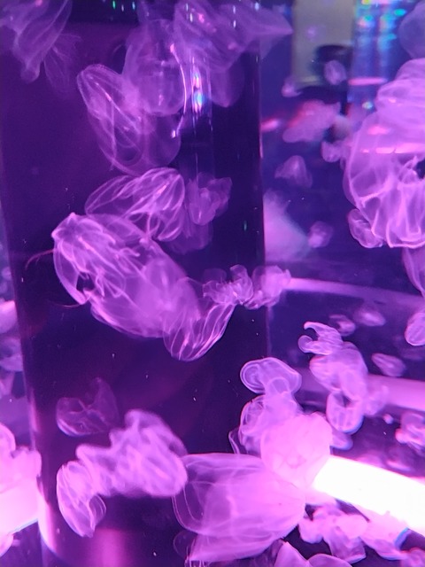 IMG20220618130446