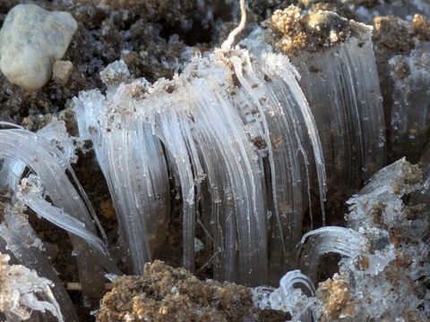 PXL_20251103_221615401