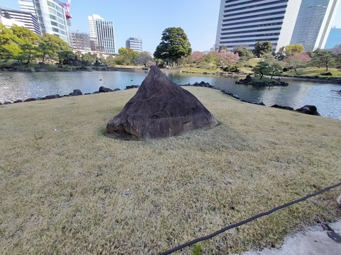 IMG20220409154705
