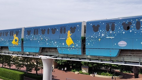 IMG20240526134255_01