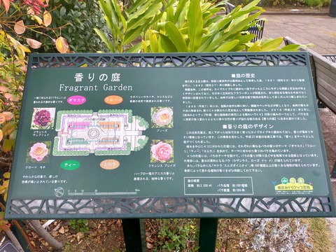 IMG20221217072117
