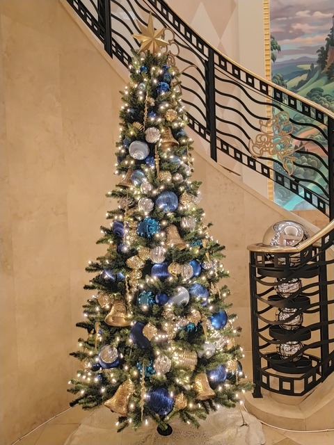IMG20211123130624
