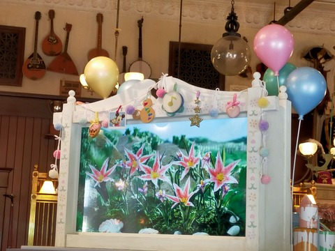 IMG20230416101447