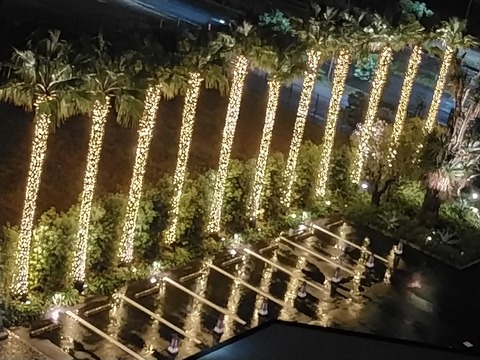 IMG20211122195424