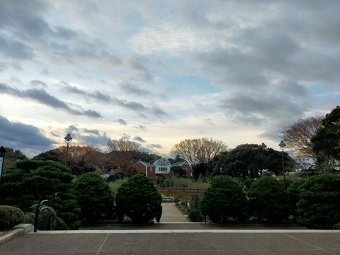 IMG20221217072043