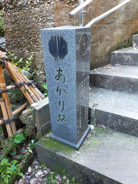 IMG20220506062750