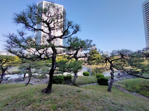 IMG20220409154905