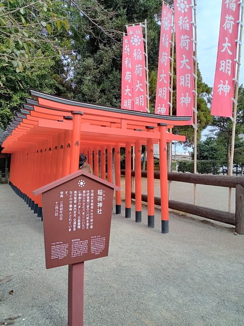 DSC_2921 - コピー