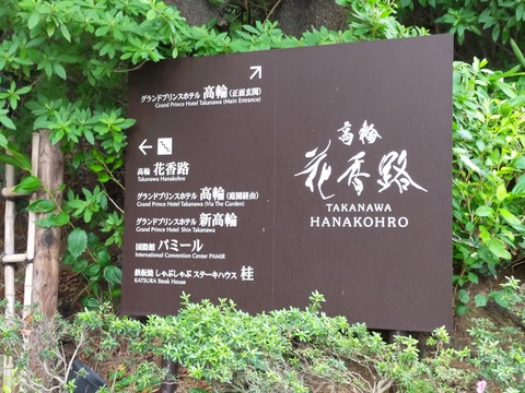 IMG20220618122948