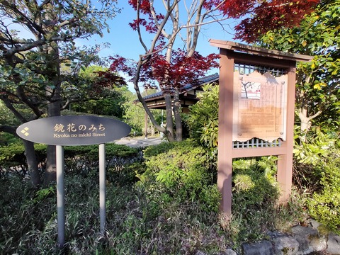 IMG20220506062157