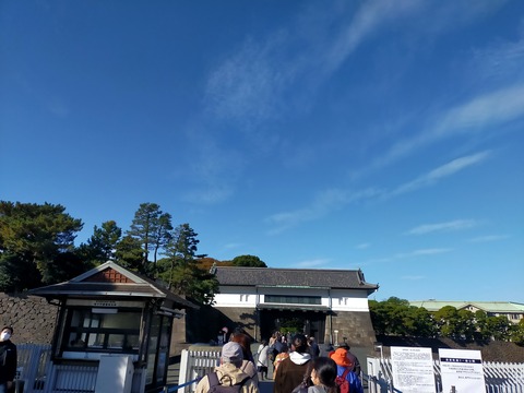 IMG20221204100033