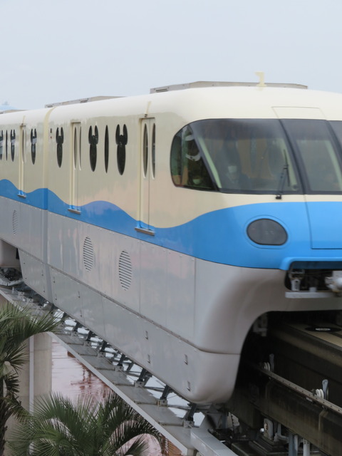 20200308140205_IMG_0096