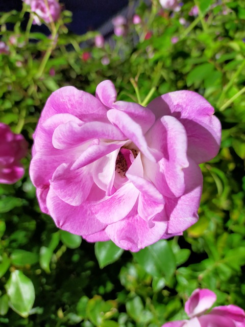 IMG20221029171958