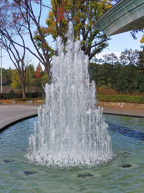 IMG20221204104120