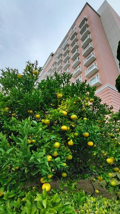 IMG20231118133456
