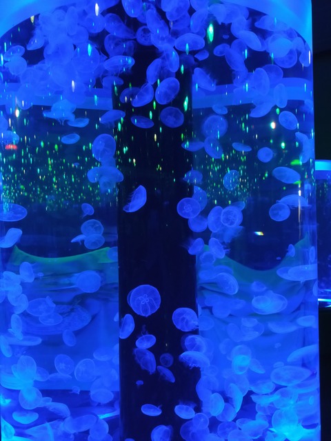 IMG20220618130611