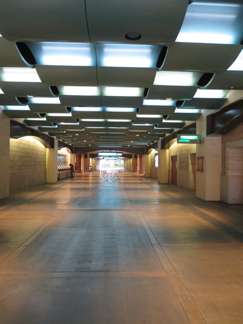 20200308135421_IMG_0087