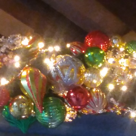 IMG_20201220_082653_773