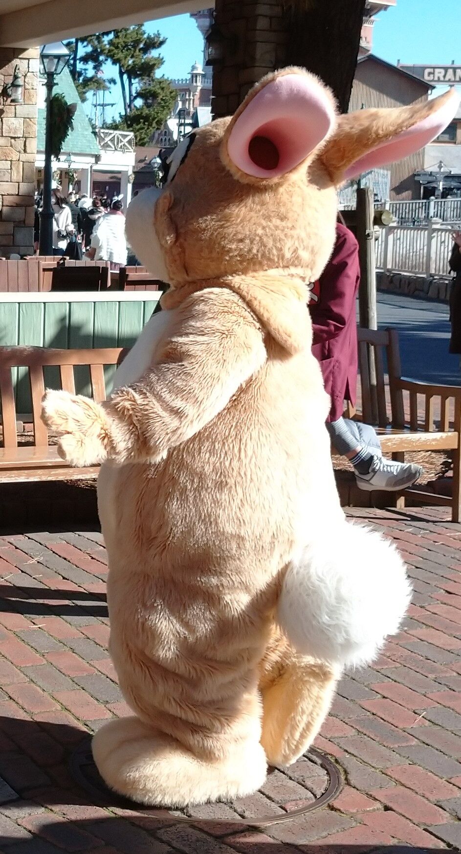 チケット付きプラン アラフィフ主婦のディズニー年パス日記 チケット付きプラン アラフィフ主婦のディズニー年パス日記