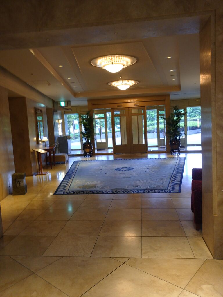 東京ディズニーリゾート アラフィフ主婦のディズニー年パス日記