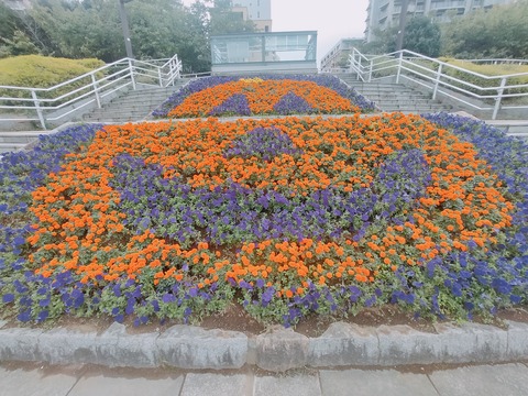IMG20221024103929