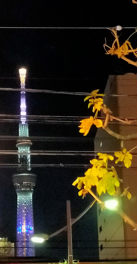 IMG20220109182116
