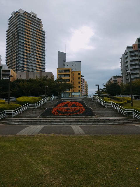 IMG20221024103836