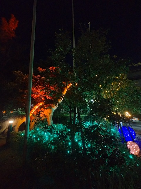 IMG20221118215723