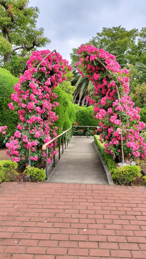 IMG20230513084728