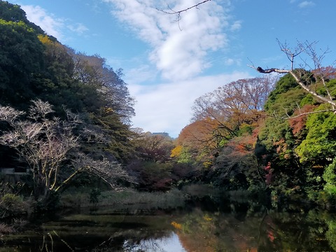 IMG20221204101021