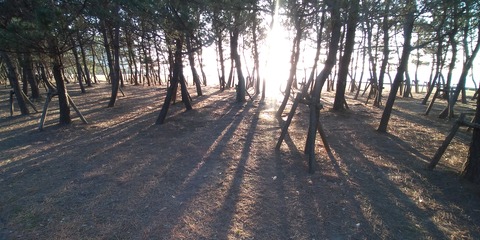 P_20210228_065824