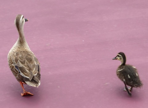 20200731114733_IMG_2197 (2)