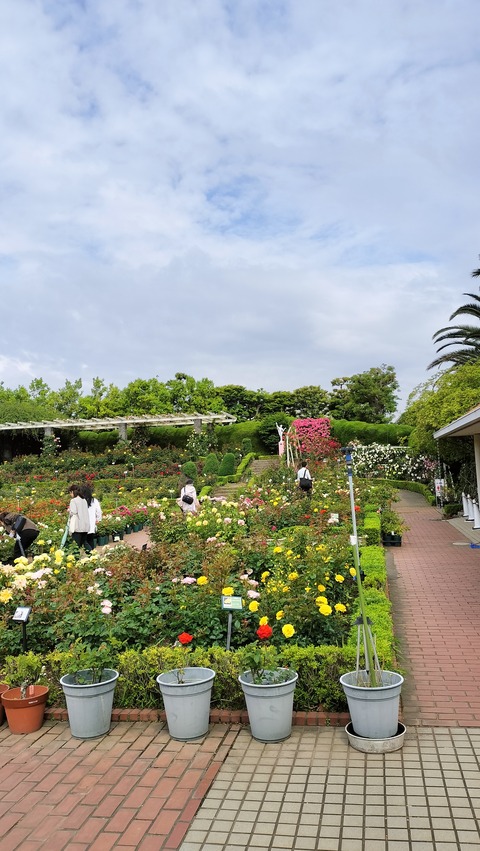 IMG20230513080704