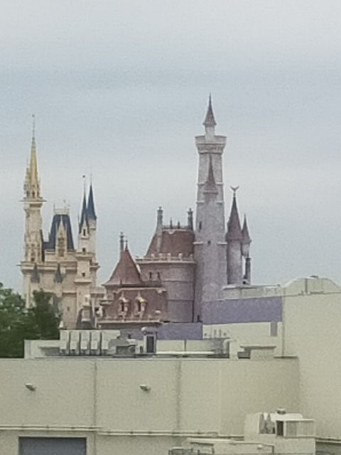 IMG20210522153126