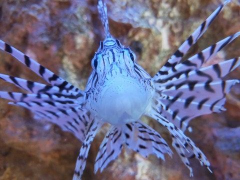 IMG20220730140537