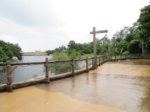 20200713173523_IMG_1835