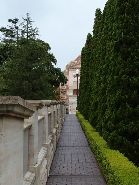 DSC_1259