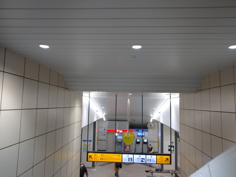 DSC_1194