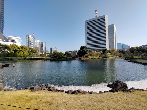 IMG20220409154553