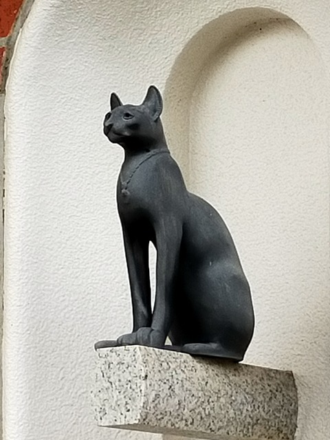 IMG20221217072423