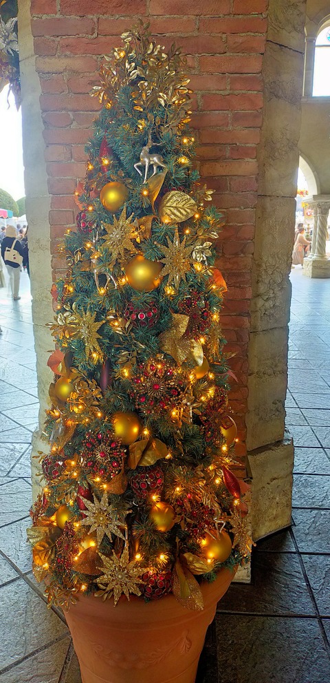 IMG20221211105348