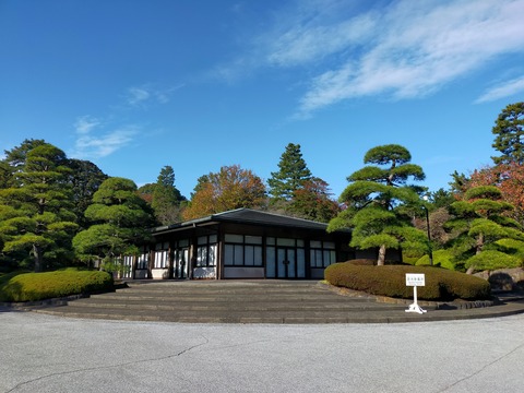 IMG20221204100523