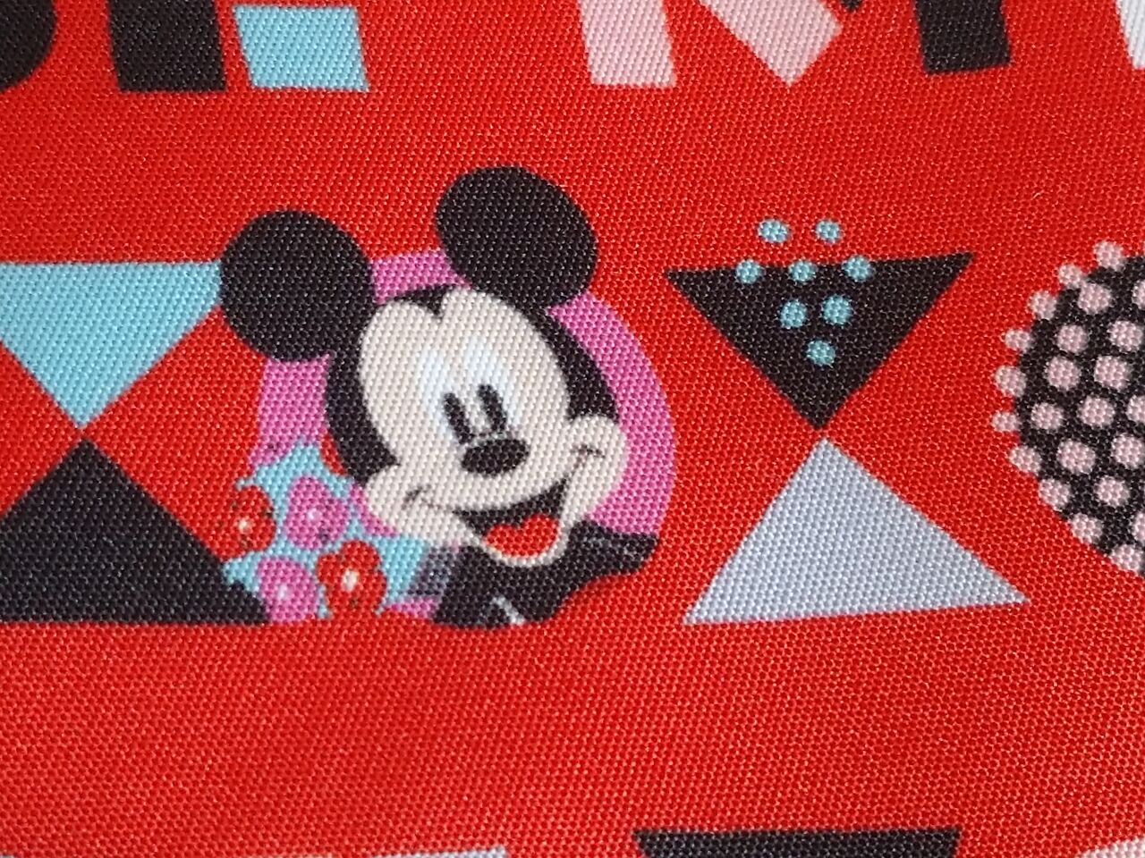 ミニーちゃん夏衣装が表紙 ディズニーファン８月号が届きました アラフィフ主婦のディズニー年パス日記